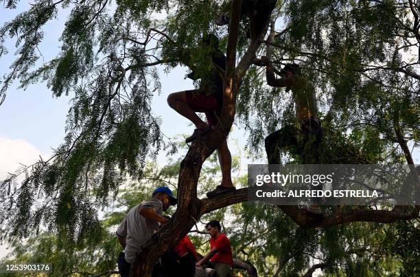 Migrants wait to attempt get to the US through the Rio Grande River as seen from Matamoros, state of Tamaulipas, Mexico on May 11, 2023. ....