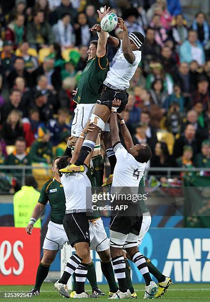 Springbok Rene Naylor 556 Springbok Bakkies Botha Stock Photos, High-Res Pictures, and Images ...