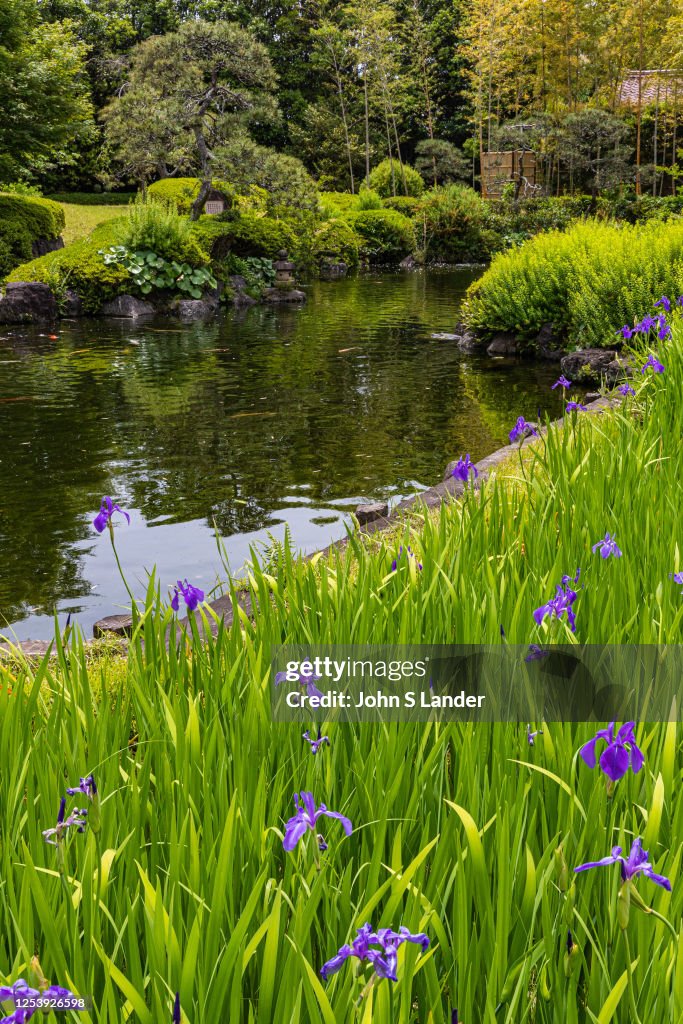 Jozan-en Iris Pond Garden - Behind the dry karesansui garden...