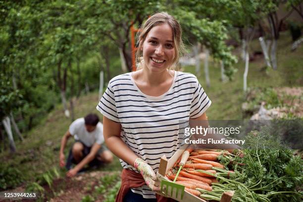 美しい女性有機農場労働者 - couple farm ストックフォトと画像