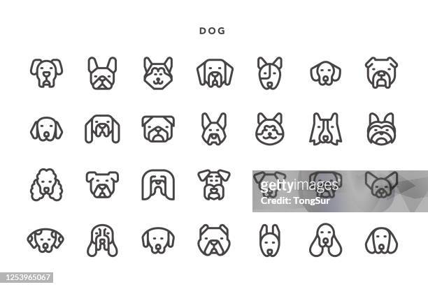 stockillustraties, clipart, cartoons en iconen met de pictogrammen van de hond - golden retriever