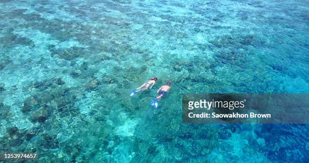 young couple swimming and snorkeling in ocean - bahamas aerial bildbanksfoton och bilder