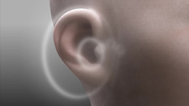 Hear Animation 129 Human Ear Anatomy Stock Videos, Footage, & 4K Video Clips - Getty ...