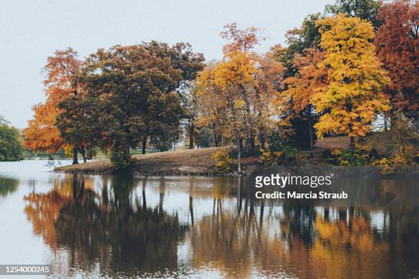 autumn colors and reflections on treelined lake - farbe ändern stock-fotos und bilder