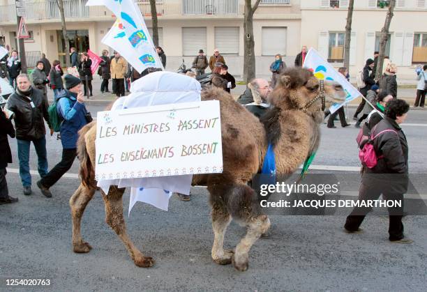 Des milliers de manifestants, parmi lesquels se trouve un chameau "pour montrer que l'école est au pain sec et que la réussite des élèves n'est pas...