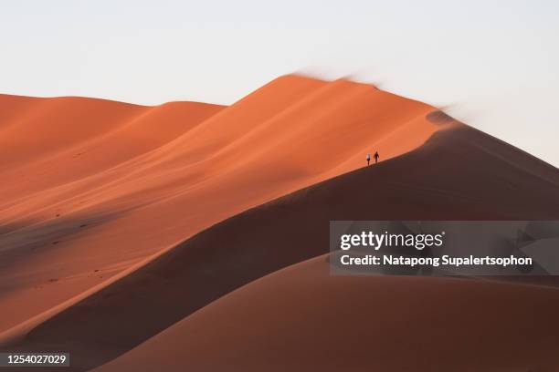 namib desert, sossusvlei, namibia. - dead vlei namibia ストックフォトと画像