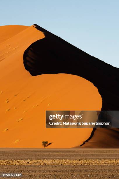 namib desert, sossusvlei, namibia. - dead vlei namibia stock pictures, royalty-free photos & images