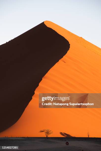 namib desert, sossusvlei, namibia. - dead vlei namibia fotografías e imágenes de stock