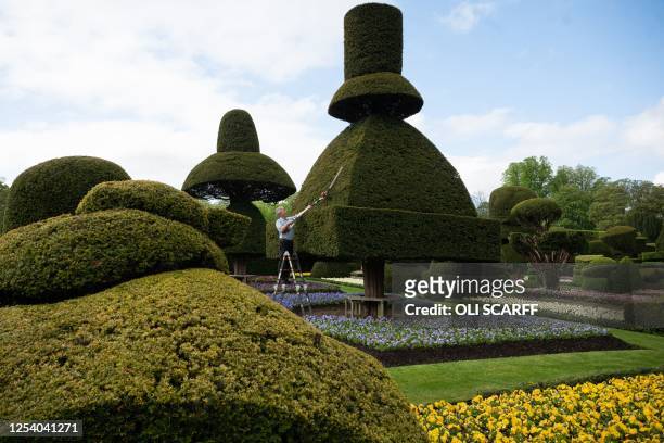 Head Gardener Chris Crowder works on preparing the world's oldest topiary garden in the grounds of Levens Hall, an Elizabethan stately home, near...
