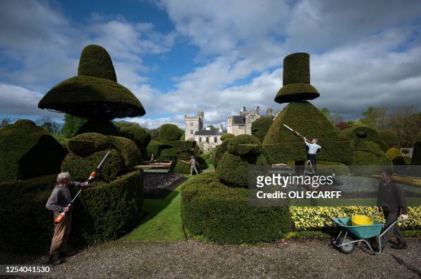 Head Gardener Chris Crowder and his team of gardeners work to prepare the world's oldest topiary garden in the grounds of Levens Hall, an Elizabethan...