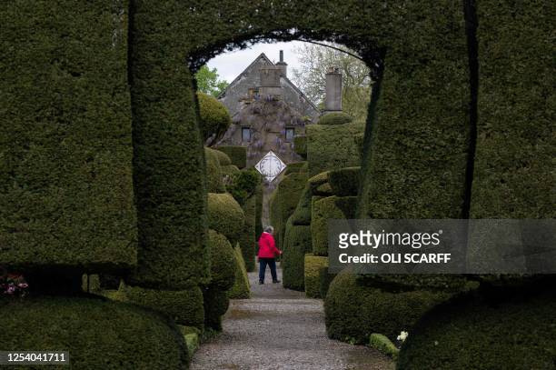 Member of the public explores the world's oldest topiary garden in the grounds of Levens Hall, an Elizabethan stately home, near Kendal in north-west...