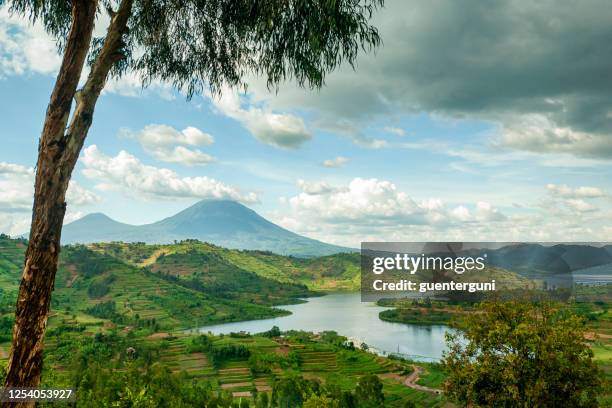 landschap van het virunga-gebergte in rwanda - oeganda stockfoto's en -beelden
