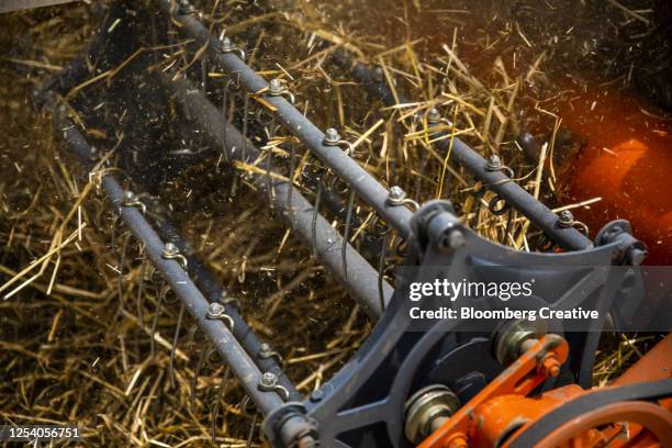 combine harvester in a wheat field - combine harvester stock pictures, royalty-free photos & images