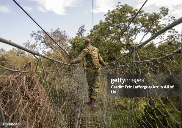 208 Wooden Rope Bridge Stock Photos, High-Res Pictures, and Images - Getty  Images