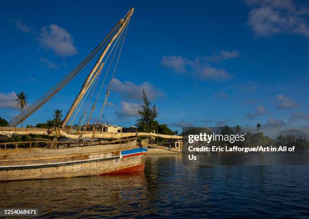 Fishing dhows moored along coastline, Lamu county, Matondoni, Kenya on April 3, 2014 in Matondoni, Kenya.