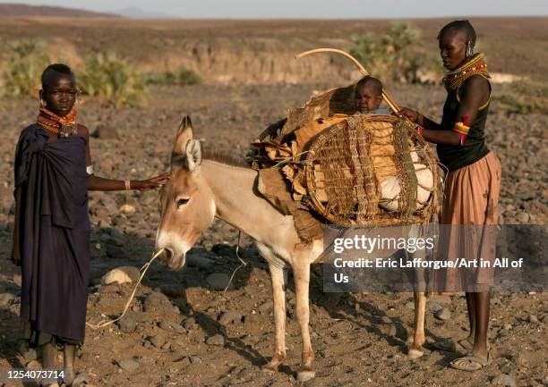 Turkana women with their donkey carrying a baby, Turkana lake, Loiyangalani, Kenya on June 13, 2014 in Loiyangalani, Kenya.