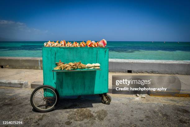 shell shack - montego bay stock pictures, royalty-free photos & images