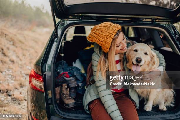 roadtrippers - road trip stock pictures, royalty-free photos & images