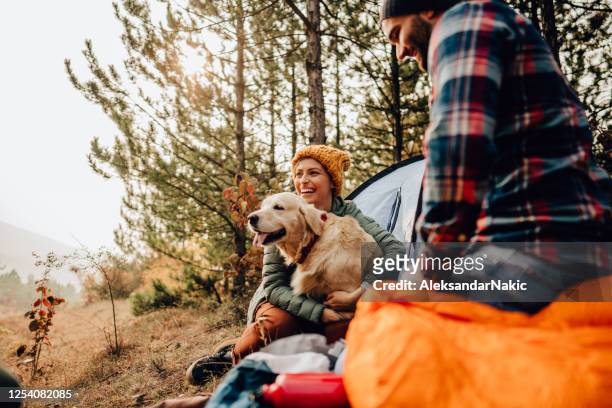 unser erster campingausflug - hund stock-fotos und bilder