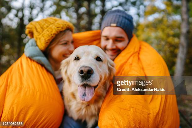 our family portrait - couple camping stock pictures, royalty-free photos & images