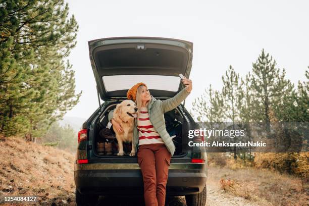 het vastleggen van momenten van onze roadtrip - autumn dog stockfoto's en -beelden