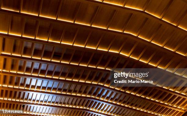 roof with lights - texture douce photos et images de collection