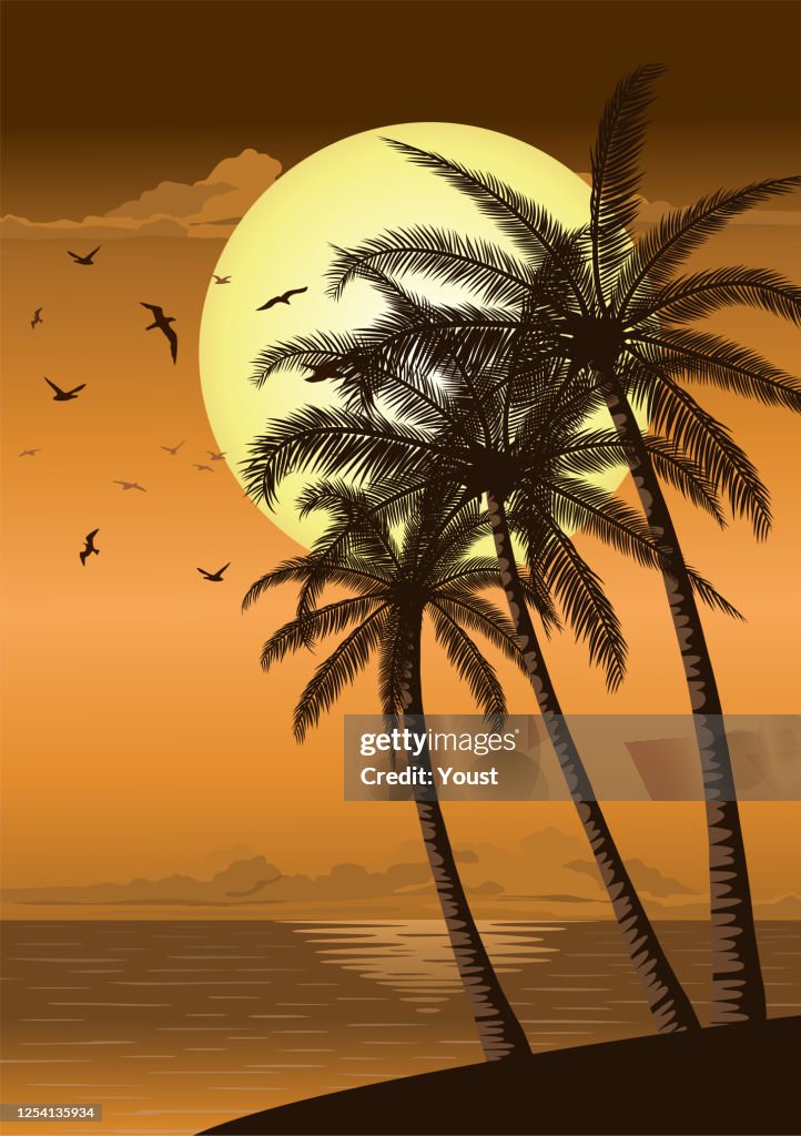 Sunset Sunrise with Beach Palm Trees of Ocean Island