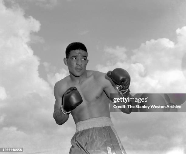 Middleweight professional boxer Randolph Randy Turpin of England poses for a portrait on August 25, 1951 at Grossingers in Liberty, New York. In...