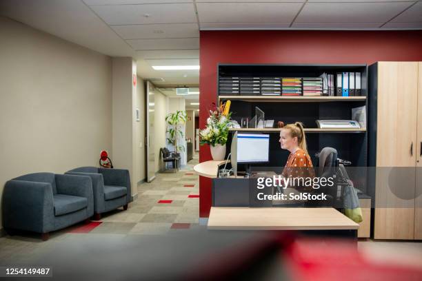 working on the front desk - administrador stock pictures, royalty-free photos & images