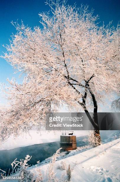 the rime of heilongjiang province - heilungkiang province stock pictures, royalty-free photos & images