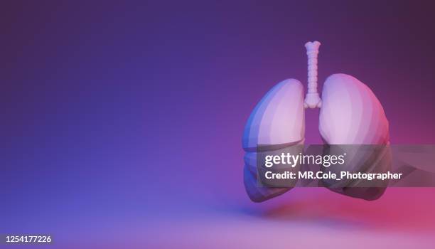 modern 3d abstract background of human lung,three dimensional of human internal organ - lunge stock-fotos und bilder