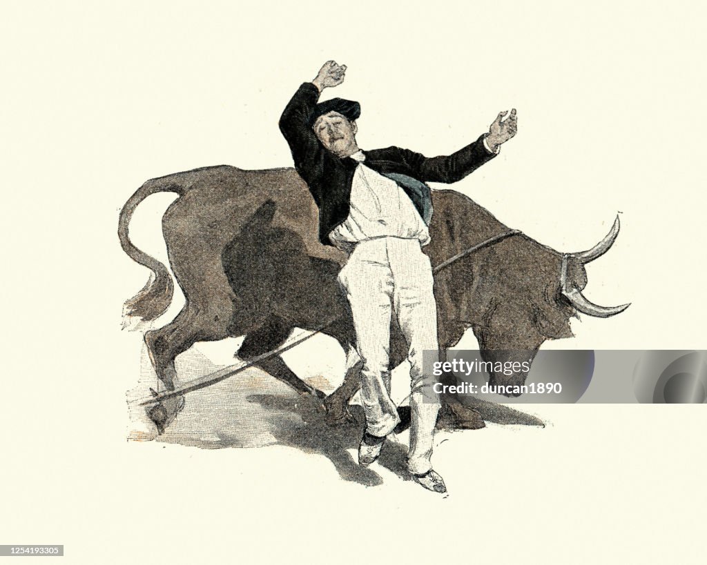 Man avoiding the raging bull, Victorian 19th Century