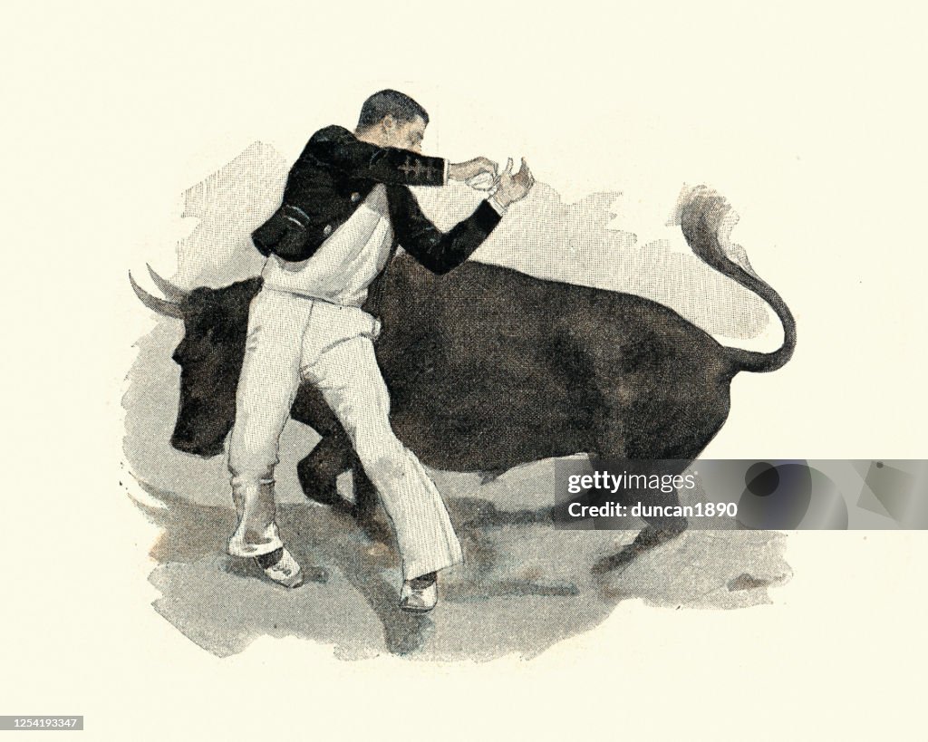 Homme esquivant un taureau courant, 19ème siècle victorien