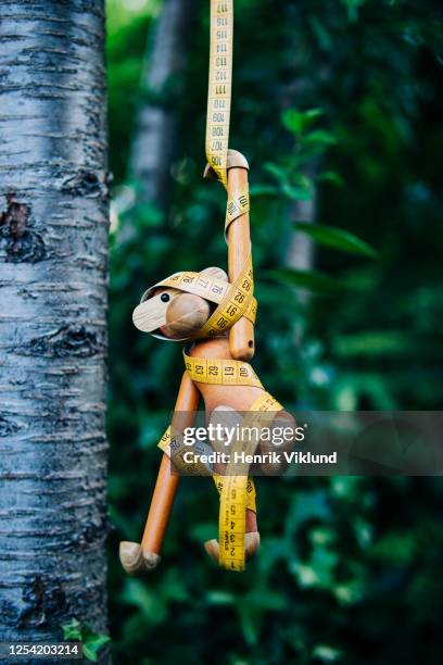 Apes Using Tools Photos and Premium High Res Pictures - Getty Images