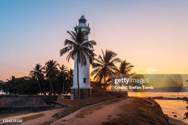 sonnenaufgang über galle dutch fort lighthouse umgeben von kokospalmen in sri lanka - galle galle bezirk stock-fotos und bilder