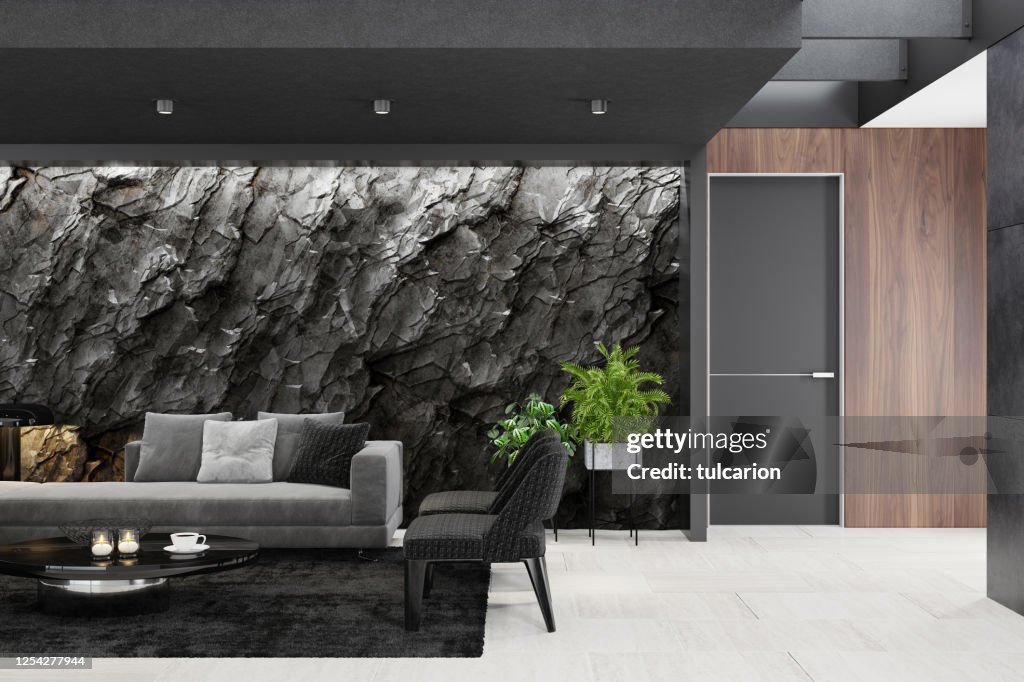 Interior Rock Wall DIY Stone Veneer Installation Guide — Olive