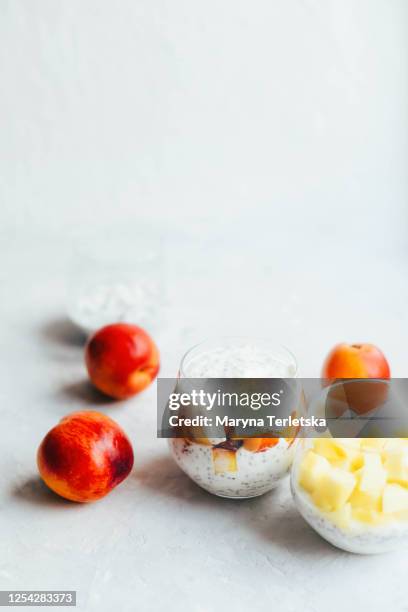 healthy yogurts with chia seeds and fruits. - mango coconut stock-fotos und bilder