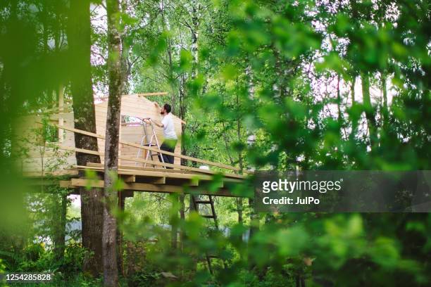 father and son building tree house at backyard - tree house stock pictures, royalty-free photos & images