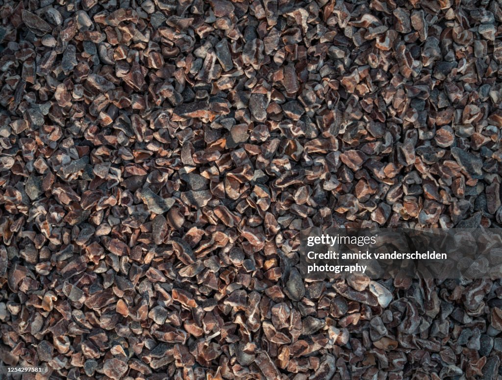 Cacao nibs