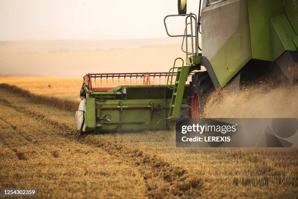 combine harvester harvesting at sunset - champs tracteur photos et images de collection