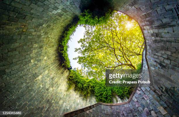 spiral staircase of underground crossing in tunnel at fort canning park, singapore - leaves spiral stock pictures, royalty-free photos & images