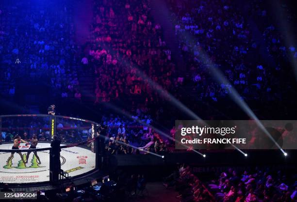 Netherlands' Gegard Mousasi fights against England's Fabian Edwards during their Bellator mixed martial arts middleweight bout at the Bercy Accor...
