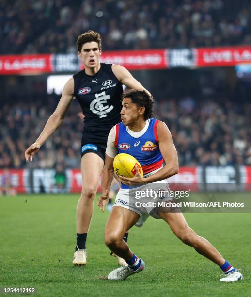 Arthur Jones of the Bulldogs in action during the 2023 AFL Round 09 match between the Carlton Blues and the Western Bulldogs at Marvel Stadium on May...