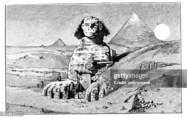 old engraved illustration of a sphinx and pyramids at giza - ancient egyptian architecture - egypt temple stock pictures, royalty-free photos & images