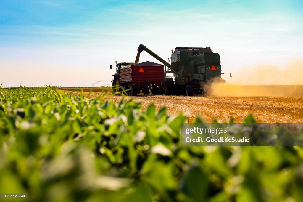 Working in the field