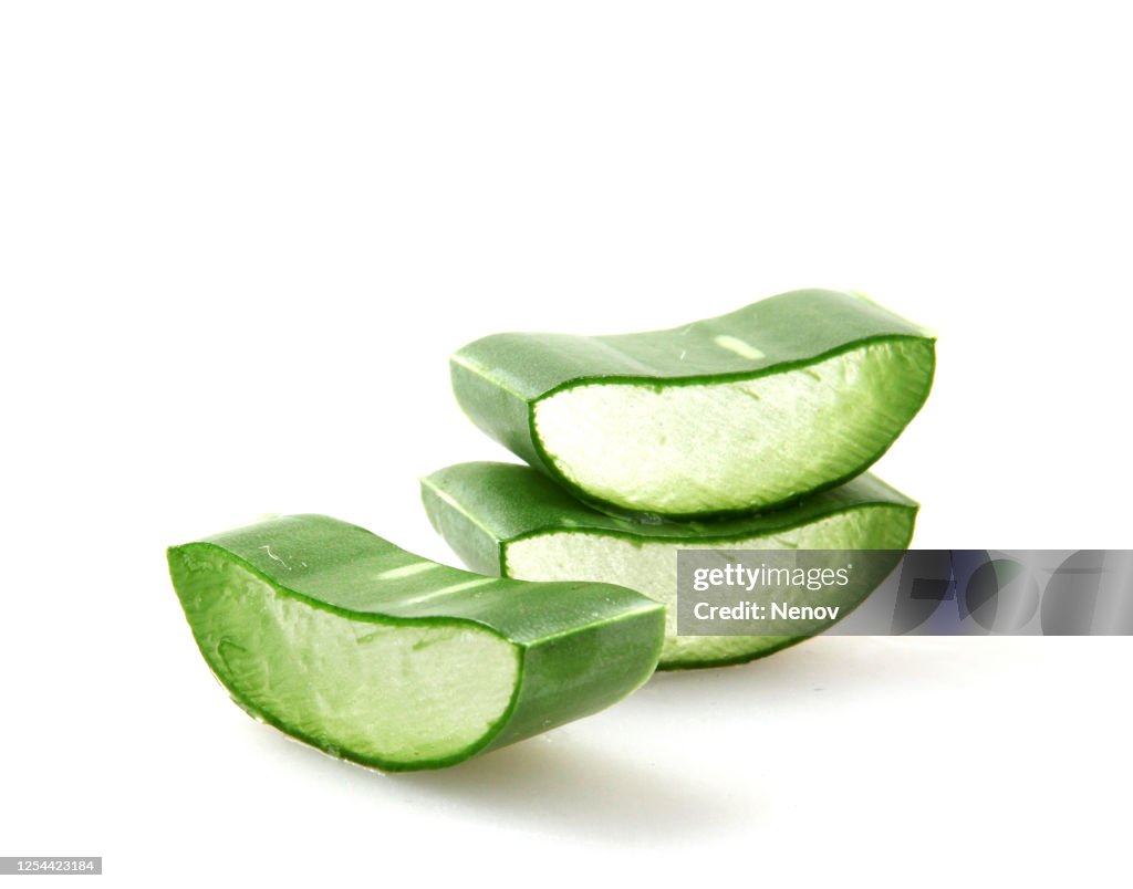 Aloe vera plant