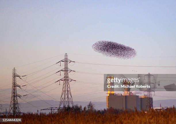 starling murmuration at the newport wetlands nature reserve over the chimneys of the uskmouth gas fired power station - newport wales stock pictures, royalty-free photos & images