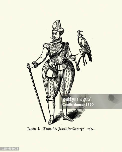 king james i, holding a falcon, 17th century - falconry stock illustrations