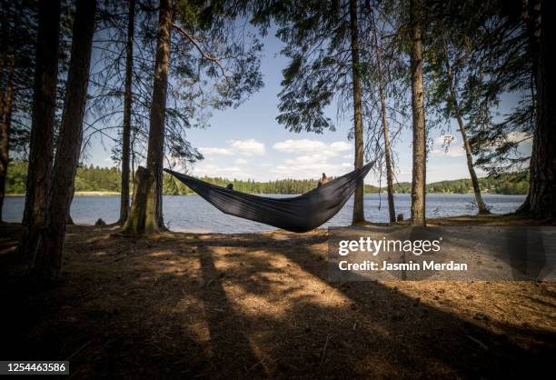 authentic nordic man camping and sitting in hammock - hammock camping stock pictures, royalty-free photos & images