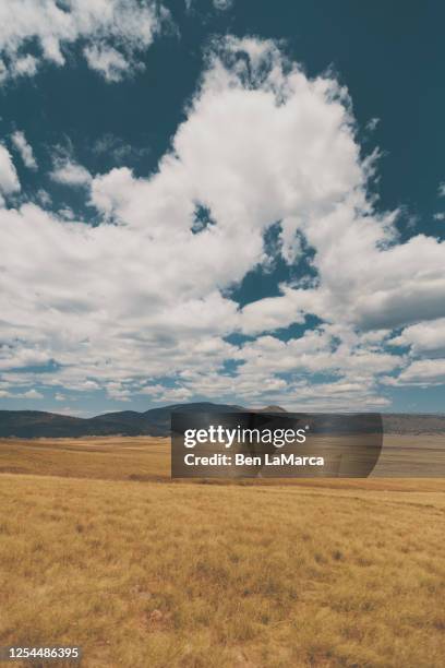 valles caldera national preserve 4 - national grassland stock pictures, royalty-free photos & images